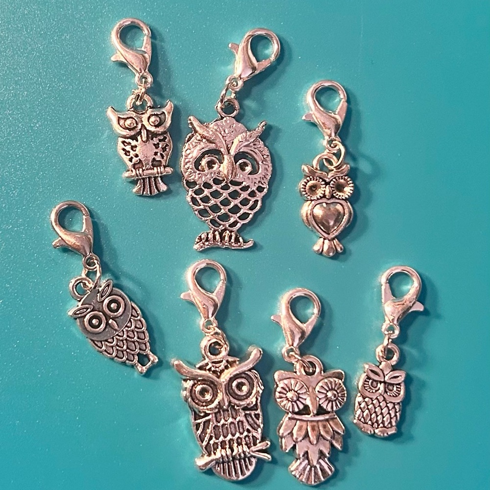 Owl 🦉 Charm